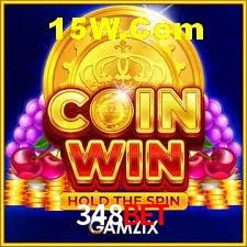 Experiência VIP 348Bet